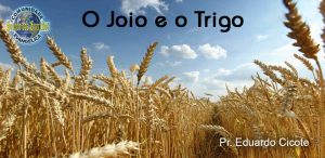 Leia mais sobre o artigo O Joio e o Trigo